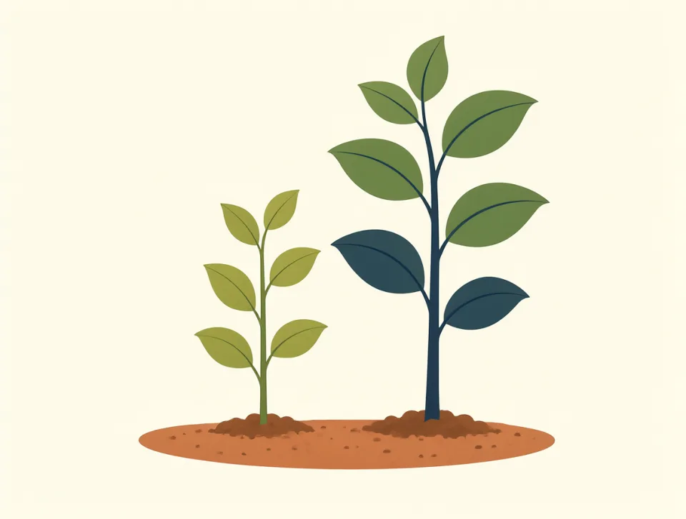 growth